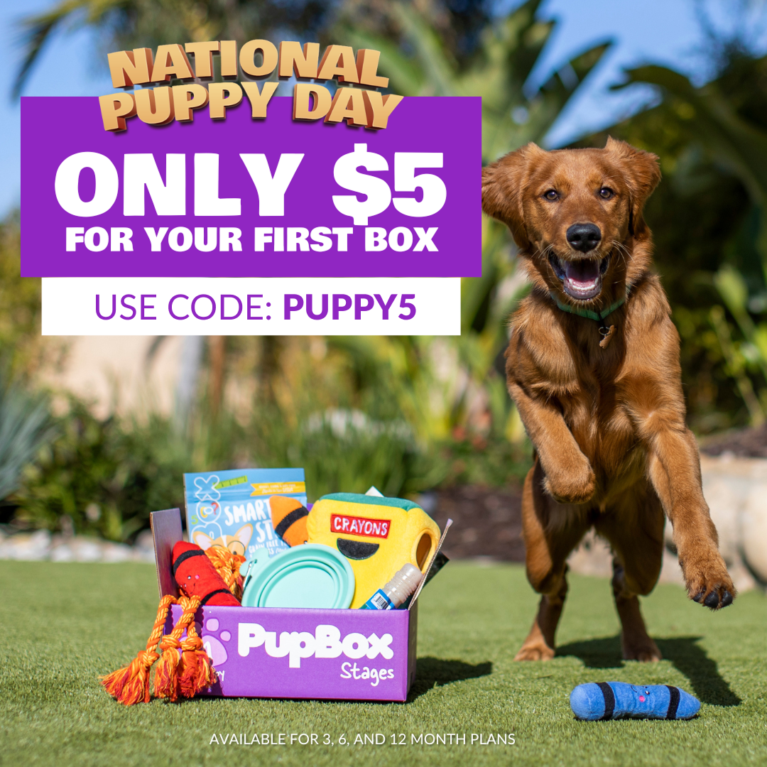 National Puppy Day subscription offer with discount code