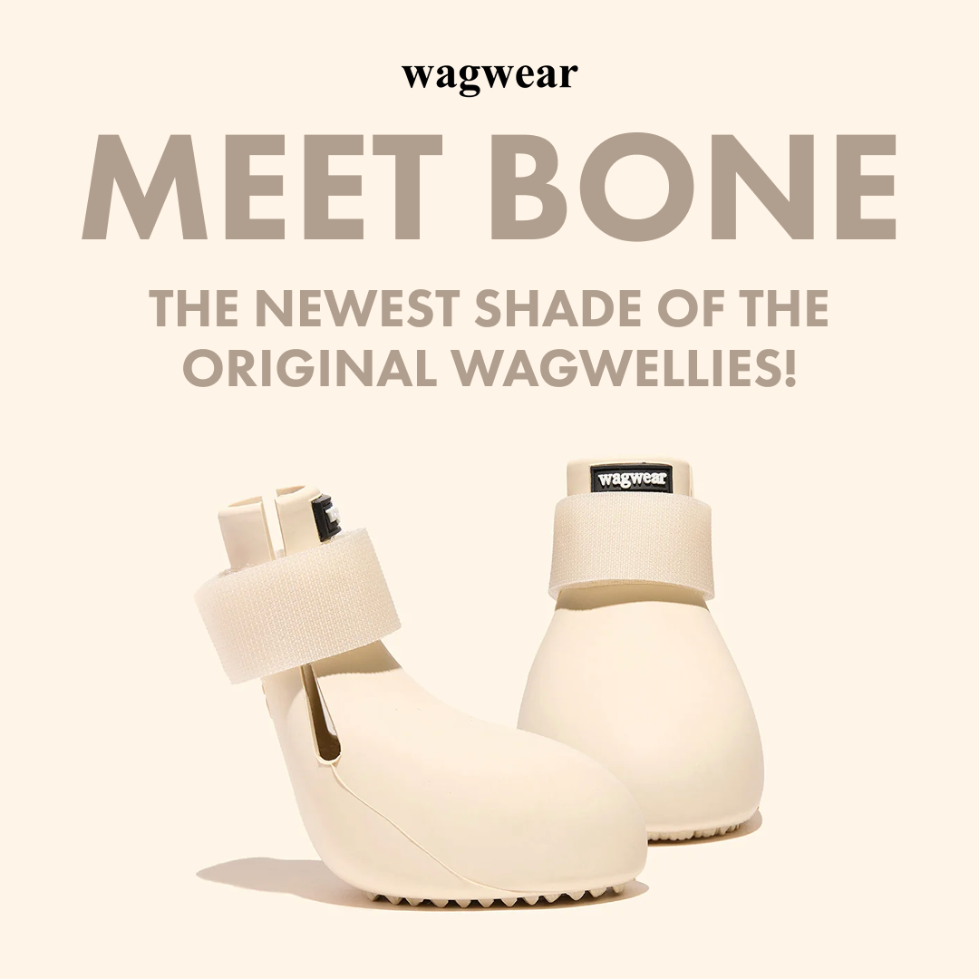Bone color launch for original Wagwellies boots